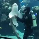 Стикер