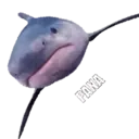Стикер