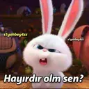 ملصق