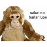 ملصق