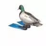 Çıkartma