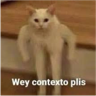 ملصق