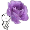 Стикер