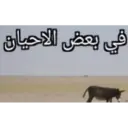 ملصق
