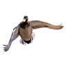 Çıkartma