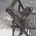 ملصق