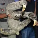 Çıkartma