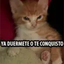 ملصق