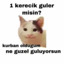 Çıkartma