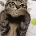 ملصق
