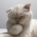 ملصق