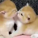 ملصق