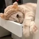 ملصق