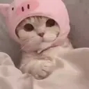 ملصق