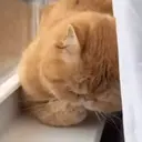 ملصق