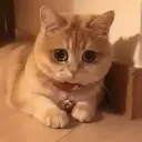 ملصق
