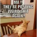 ملصق