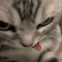 ملصق