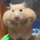 ملصق