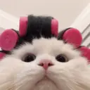 ملصق