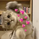 ملصق