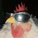 ملصق