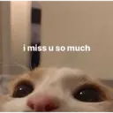 ملصق