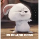 Çıkartma