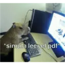 Çıkartma