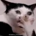 Çıkartma