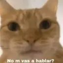 ملصق