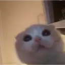 ملصق