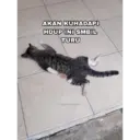 Çıkartma