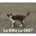 Çıkartma