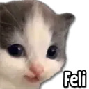 ملصق