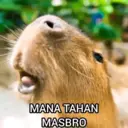 ملصق