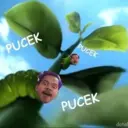 ملصق
