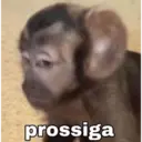 ملصق
