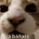 ملصق