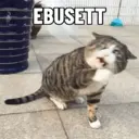 ملصق