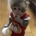 ملصق