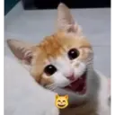 ملصق
