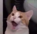 ملصق
