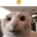 ملصق