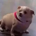 ملصق