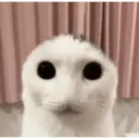 ملصق
