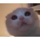ملصق