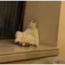 ملصق