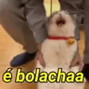 ملصق