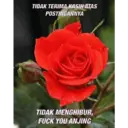Çıkartma